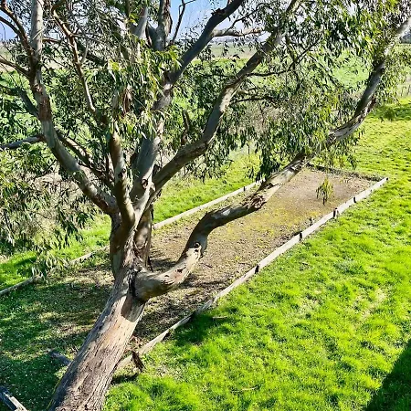 Le Temps De Vivre - - Centre * L'Aiguillon-la-Presqu'ile