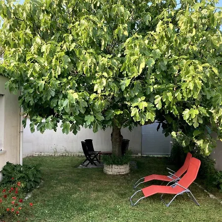 Le Temps De Vivre - - Centre