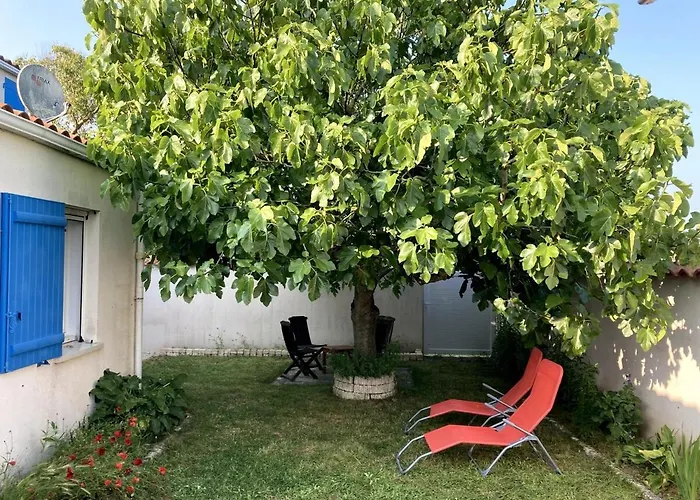 Le Temps De Vivre - - Centre